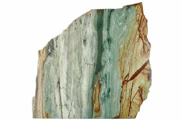 Gary Green Jasper (Larsonite) Bog Wood Slab - Oregon #314986